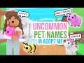 50 Uncommon Pet Names In Adopt Me!!! | SunsetSafari