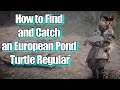 AC Valhalla The Siege of Paris How to Find and Catch an European Pond Turtle Regular Guide