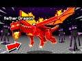 I TAMED a SECRET NETHER DRAGON in MINECRAFT NETHER DIMENSION!