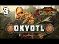 THE TELEPORTING HUNTER! Total War: Warhammer 2 - Oxyotl - Lizardmen Mortal Empires Campaign #3