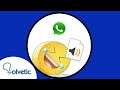 😂  Enviar AUDIO GRACIOSO para WhatsApp