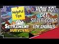Settlement Survival😎how to get silver coins😎why do you need them😎