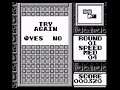 Tetris Flash (Japan) (Gameboy)