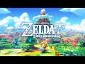 The Legend of Zelda: Link's Awakening-Egg NS_Xiaomi Mi8