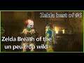 Zelda Breath of the un peu trop wild | Zelda best of #06
