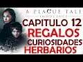 A Plague Tale - todos los REGALOS, CURIOSIDADES Y HERBARIOS - Capitulo 12