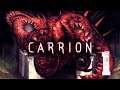 CARRION | I've seen enough h3ntai to know where this is going...
