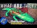 WHY ARE THEY HERE?!.. The Mystery of the 'Inflate One' Alligator | Call of the Wild