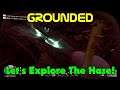 Let's Explore The Haze! Grounded Gameplay S1-Ep10