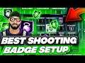 THIS is the BEST SHOOTING BADGE SETUP in nba 2k20.