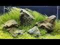 Ultimate Aquascape: Stunning Decoration Ideas to transform ur Fish Tank! Aquarium Relaxing Therapy