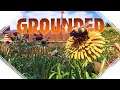 Wir kämpfen gegen Bienen ❖ Grounded #063 [Let's Play German Deutsch]