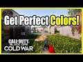Get the BEST Graphics Settings in Black Ops Cold War & Adjust HDR Color PS4, Xbox