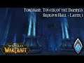 World of Warcraft (Longplay/Lore) - 00840: Torghast: Skoldus Hall - Layer 1 (Shadowlands)