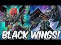 Blackwings vs Black Luster Soldier! (Yugioh TCG)