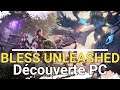 BLESS UNLEASHED - Découverte PC (BETA)