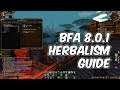 8.0.1 BFA Herbalism Gold Guide - WoW BFA