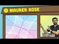 Coding the Maurer Rose