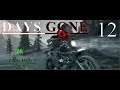 (#12) (Our First Flash Back) Days Gone Let's Play  with BABz On PC | 4K | 60FPS | Ultra Wide 21:9 |