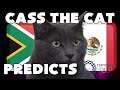 2020 Olympic Games Football - South Africa vs Mexico - Cass the Cat Predicts