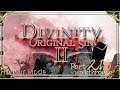 Divinity Original Sin 2 | Honour Mode Walkthrough | Part 216 Empyreo the Stalwart