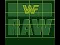 Luv 2 Gam3: Bad @ Gaming! WWF Raw - Acclaim Entertainment - VBA