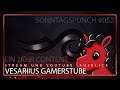 Vesariius Gamerstube - Stream und Youtube Ausblick - Sonntagspunch #052