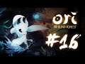 890 | Ori and The Blind Forest | PARTE 16