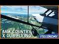 Back Country XCub Flying | Microsoft Flight Simulator | FSEconomy | Ep. 8