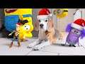 Funny Dogs vs Minion in REAL LIFE Animation Christmas Compilation! Must see! #9