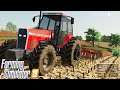 MF 660 CABINADO BRUTO! | Farming Simulator 2019 | SITIO BOM JARDIM