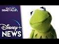 Muppets Now Coming To Disney+ | Disney Plus News