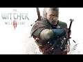 The Witcher 3 Death March Gameplay - Episode 40