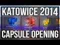 10x KATOWICE 2014 CAPSULE OPENING (THE iBUYPOWER HOLO DREAM)