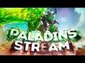 Играю с подписчиками на стриме | Апаю рейтинг | Paladins