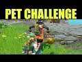 Pet a Teammates Pet - Fortnite Team Spirit Challenge Guide