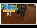 Kleiner Hund ganz groß! #93 Die Sims 4: Inselleben - Gameplay Let's Play