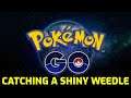 Pokémon GO - Catching a Shiny Weedle