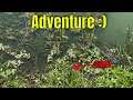 Pond Adventure & Almost Meeting A Snake