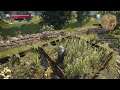 The Witcher 3 Deathmarch Let's Play Part 8