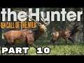 theHunter: Call of the Wild (2017) - Part 10