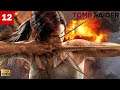 Tomb Raider - Gameplay Walkthrough - Part 12