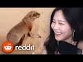 39daph Reacts to Reddit #9