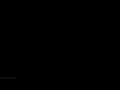 Escape from tarkov 40 level lets do some traders tasks