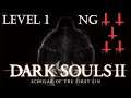 Dark souls 2 sotfs pc level 1 ng+5 día 20