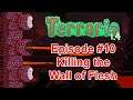 Decimating the Wall of Flesh in Terraria