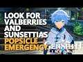 Look for Valberries and Sunsettias Genshin Impact (Popsicle Emergency)