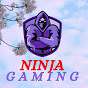 2 Bros Ninja Gaming