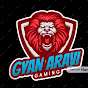 Gyan aravi gaming 