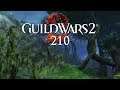 Guild Wars 2 [Let's Play] [Blind] [Deutsch] Part 210 - Die leuchtende Kugel!